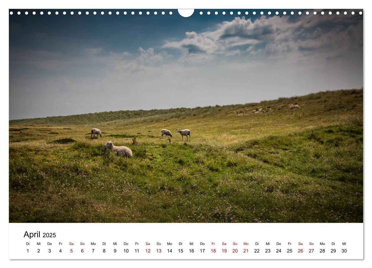 Bild: 9783435443260 | Ein Sommer auf Sylt (Wandkalender 2025 DIN A3 quer), CALVENDO...