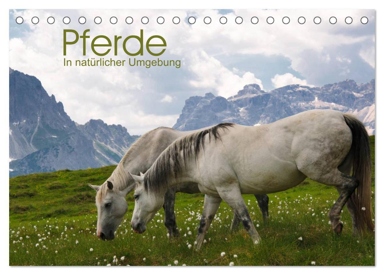 Cover: 9783383320682 | Pferde - In natürlicher Umgebung (Tischkalender 2024 DIN A5 quer),...