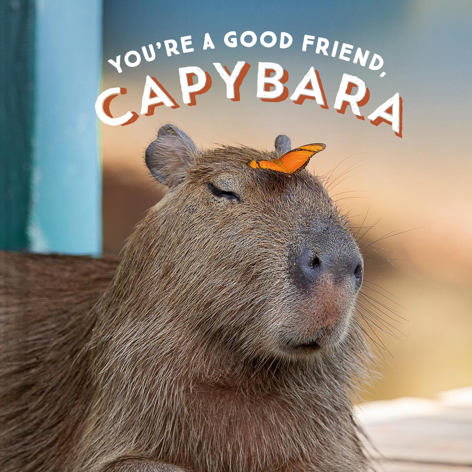 Cover: 9781797210575 | You're a Good Friend, Capybara | Chronicle Books | Buch | Englisch