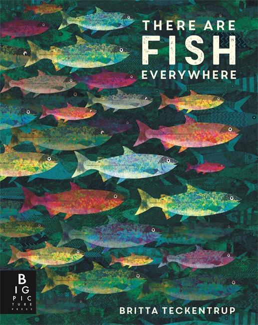 Cover: 9781787417755 | There are Fish Everywhere | Katie Haworth | Taschenbuch | 32 S. | 2020