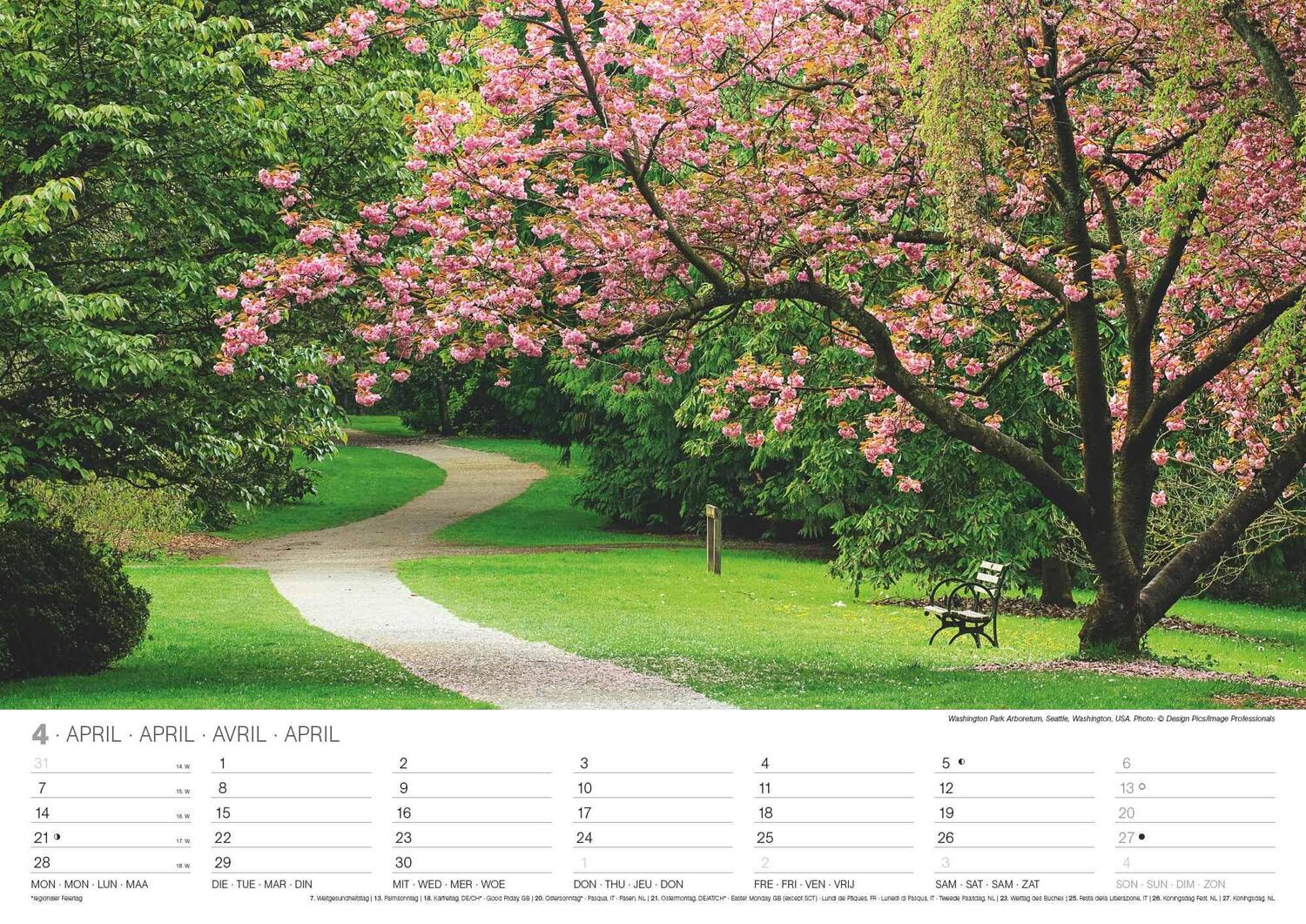 Bild: 4002725994288 | Malerische Wege 2025 - Wand-Kalender - 42x29,7 - Natur | Neumann
