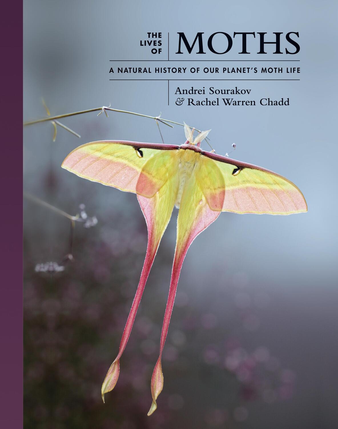 Cover: 9780691228563 | The Lives of Moths | A Natural History of Our Planet's Moth Life