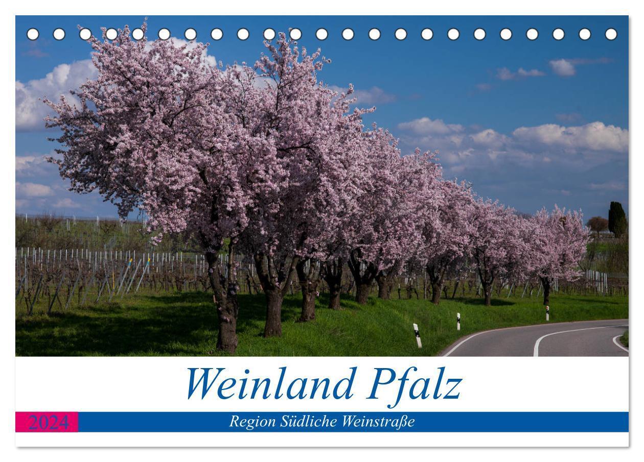 Cover: 9783383236440 | Weinland Pfalz - Region Südliche Weinstraße (Tischkalender 2024 DIN...
