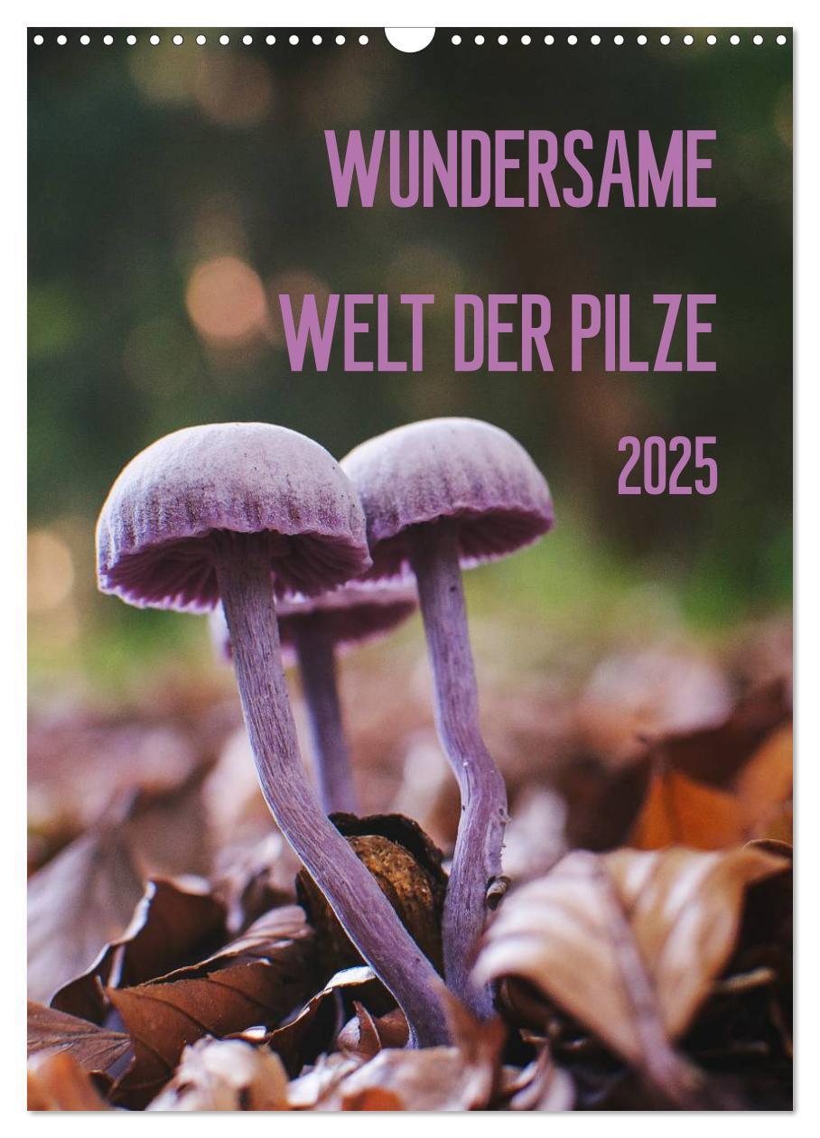 Cover: 9783457050750 | Wundersame Welt der Pilze (Wandkalender 2025 DIN A3 hoch), CALVENDO...