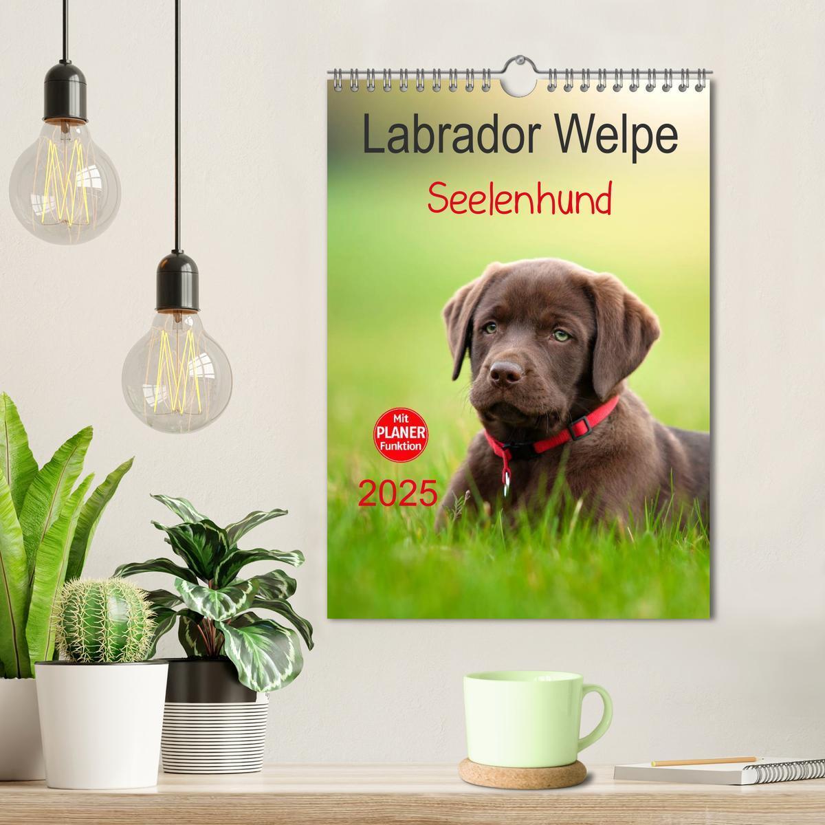 Bild: 9783457010310 | Labrador Welpe - Seelenhund (Wandkalender 2025 DIN A4 hoch),...