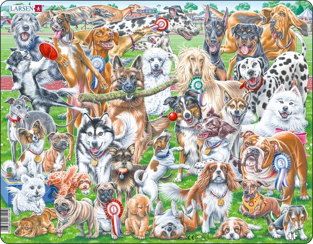 Cover: 7023852135419 | Puzzle - Süße und verspielte Hunde (Selfi/Gruppenbild) | Puzzle | 2023