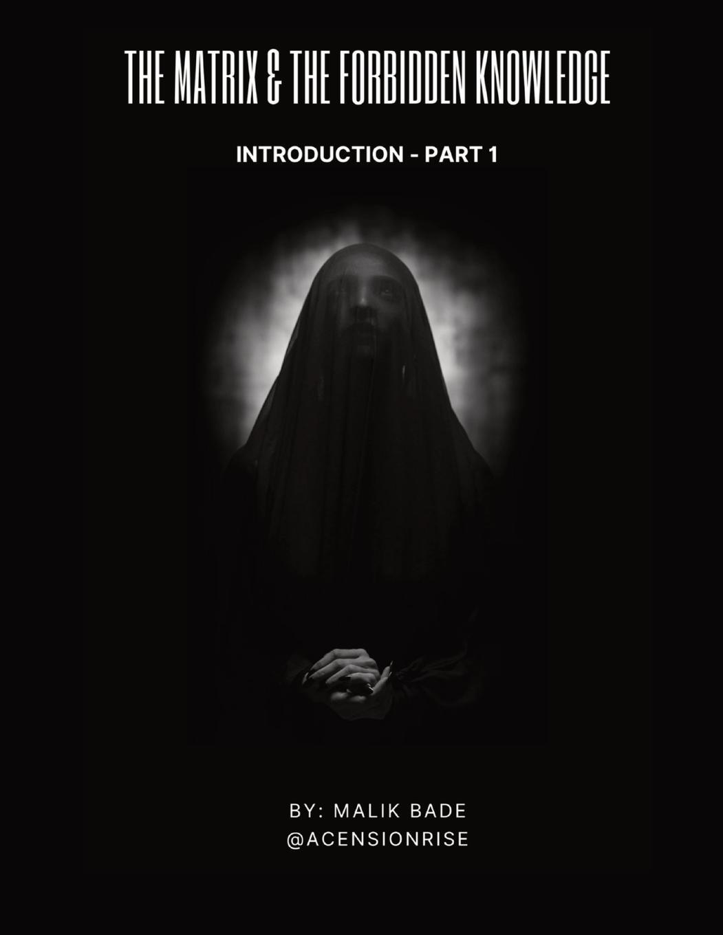 Cover: 9781738137732 | The Matrix &amp; The Forbidden Knowledge (Part 1) | Introduction | Bade