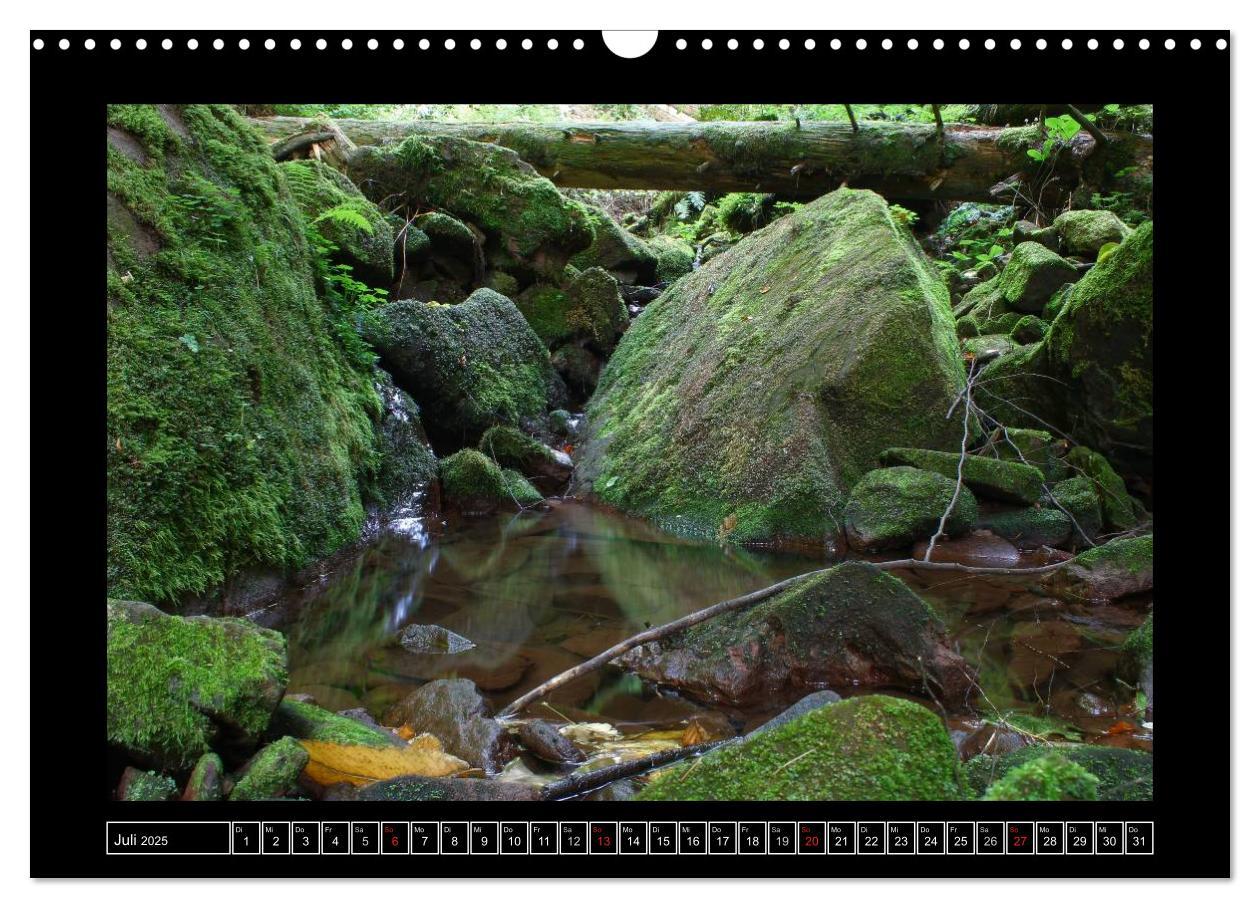 Bild: 9783435820092 | Odenwald - Landschaft sehen (Wandkalender 2025 DIN A3 quer),...