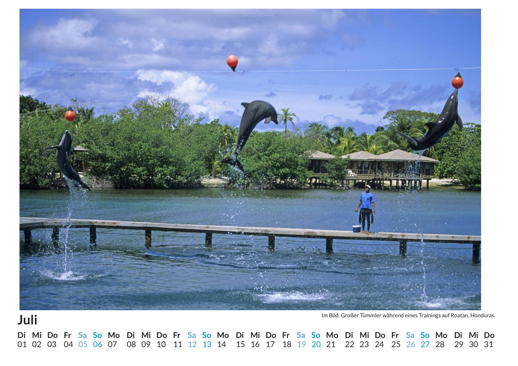 Bild: 9783759123800 | Honduras - (Wandkalender 2025, Kalender DIN A4 quer, Monatskalender...