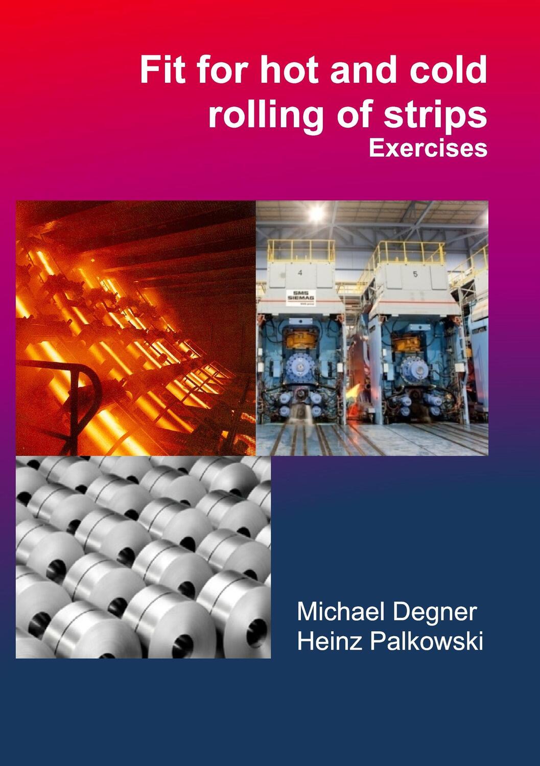 Cover: 9783981790429 | Fit for hot and cold rolling of strips - Exercises | Degner (u. a.)