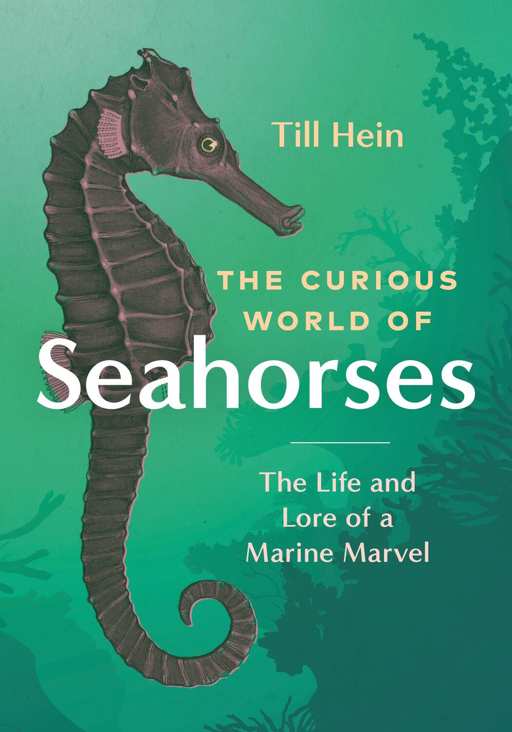 Cover: 9781771649889 | The Curious World of Seahorses | The Life and Lore of a Marine Marvel