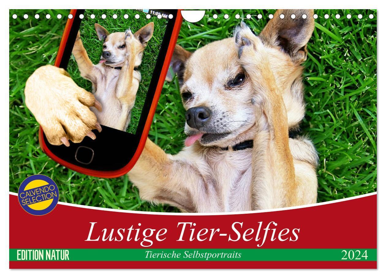 Cover: 9783383208041 | Lustige Tier-Selfies. Tierische Selbstportraits (Wandkalender 2024...