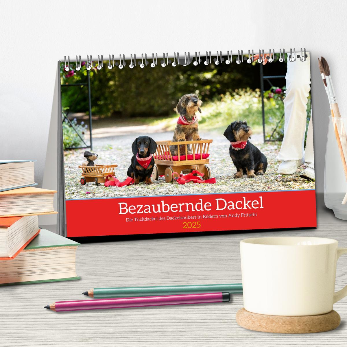 Bild: 9783435016532 | Bezaubernde Dackel (Tischkalender 2025 DIN A5 quer), CALVENDO...