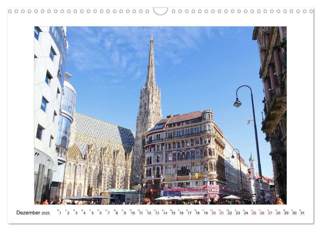 Bild: 9783457219799 | Bezauberndes Wien (Wandkalender 2025 DIN A3 quer), CALVENDO...