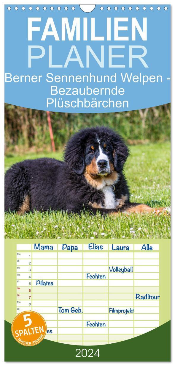 Cover: 9783383661754 | Familienplaner 2024 - Berner Sennenhund Welpen - Bezaubernde...