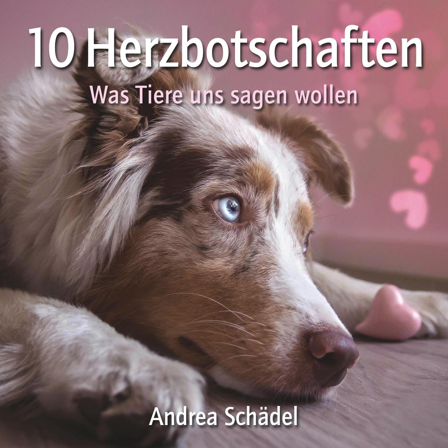 Cover: 9783746956251 | 10 Herzbotschaften | Was Tiere uns sagen wollen | Andrea Schädel