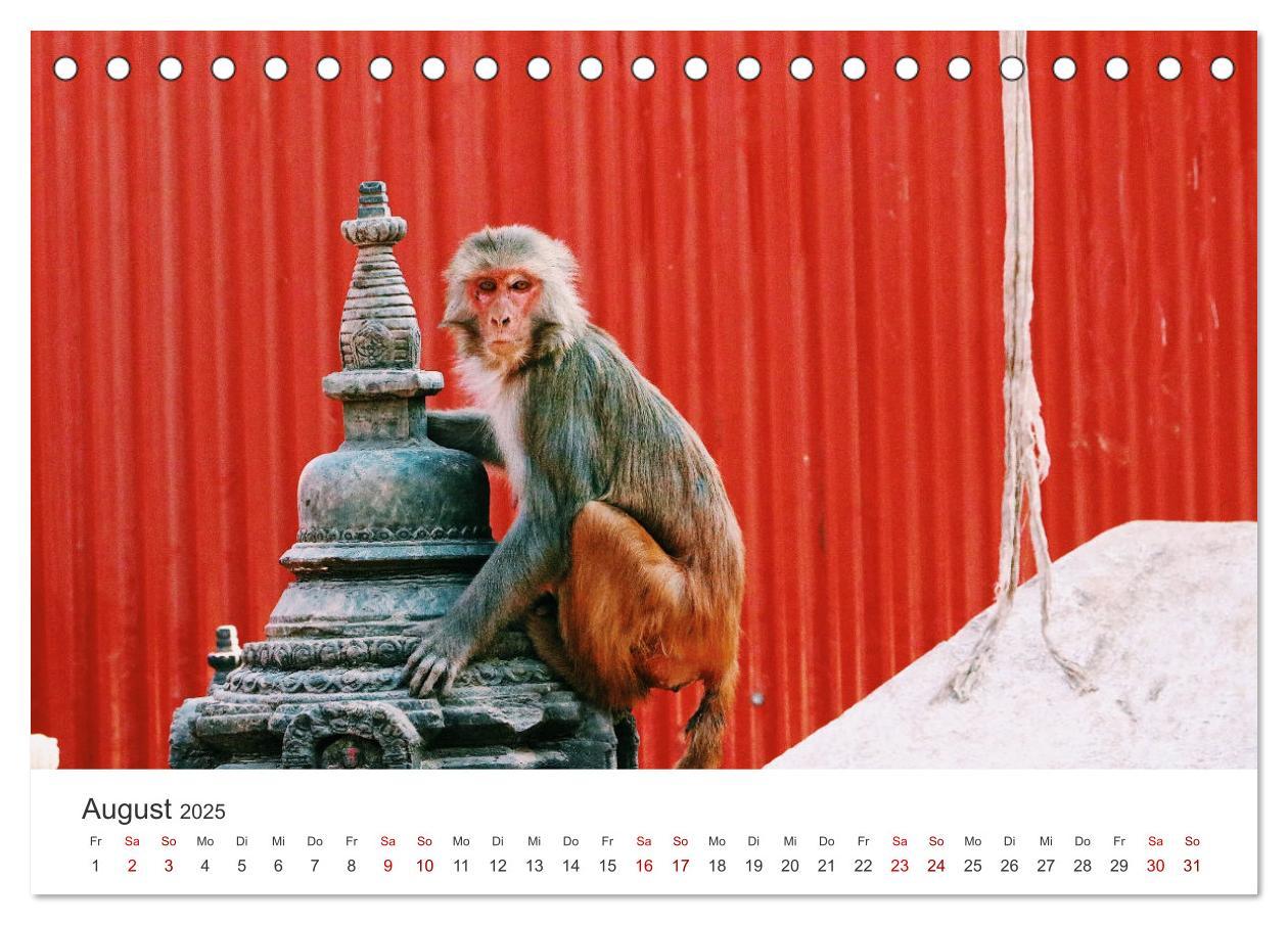 Bild: 9783435007653 | Nepal - Mitten im Himalaya (Tischkalender 2025 DIN A5 quer),...