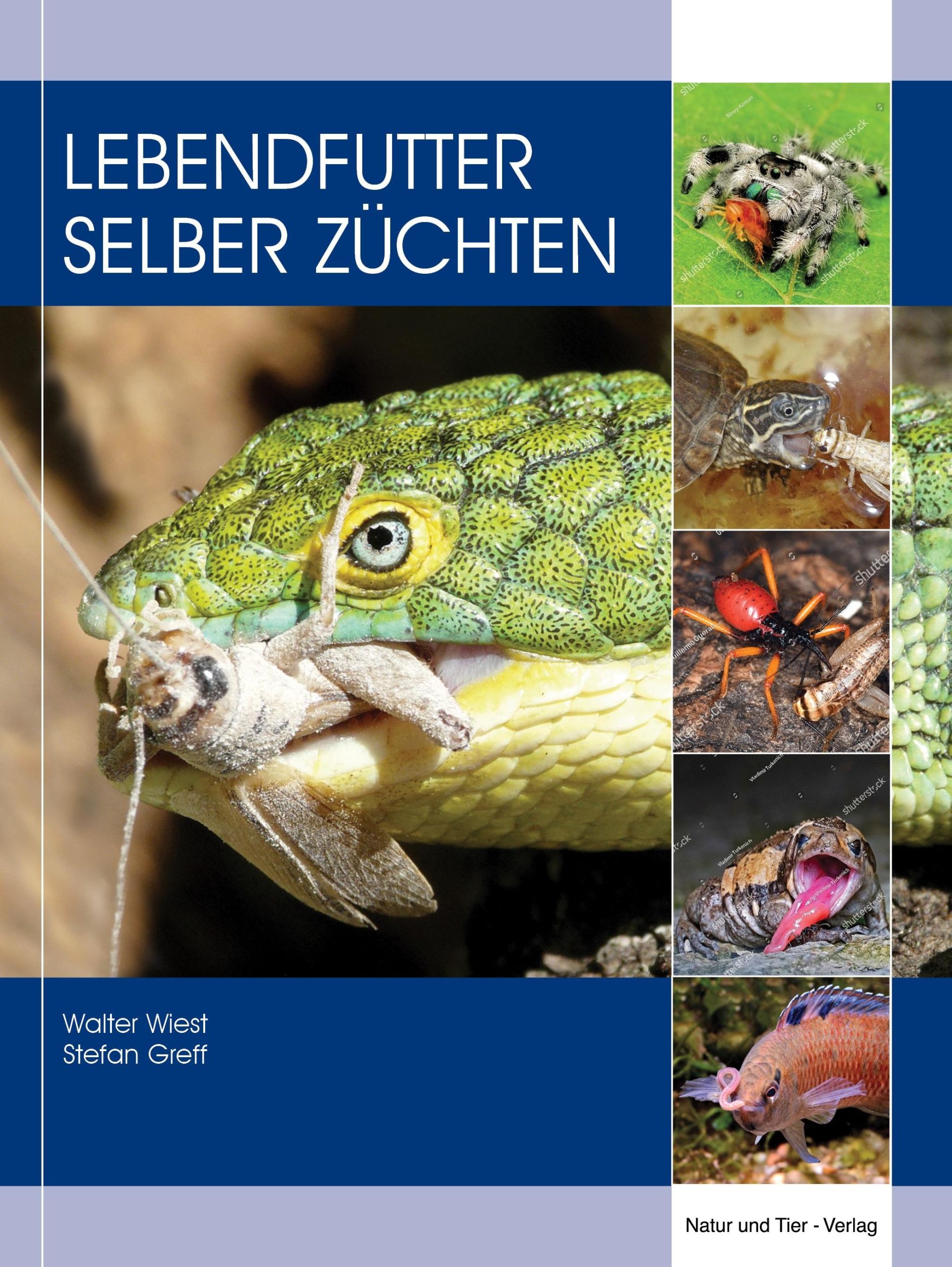 Cover: 9783866595200 | Lebendfutter selber züchten | Walter Wiest (u. a.) | Buch | 200 S.