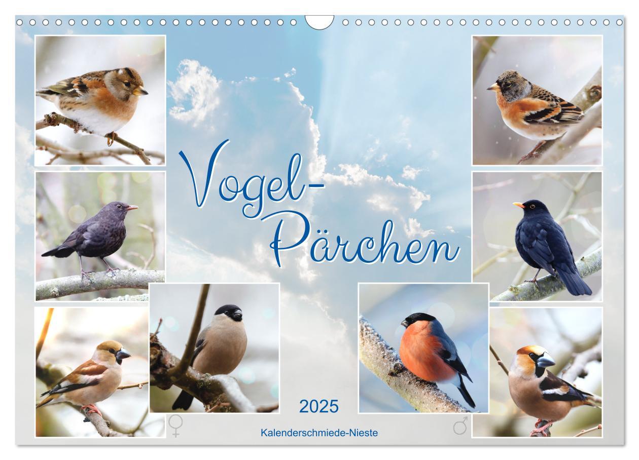 Cover: 9783435059294 | Vogel-Pärchen (Wandkalender 2025 DIN A3 quer), CALVENDO Monatskalender