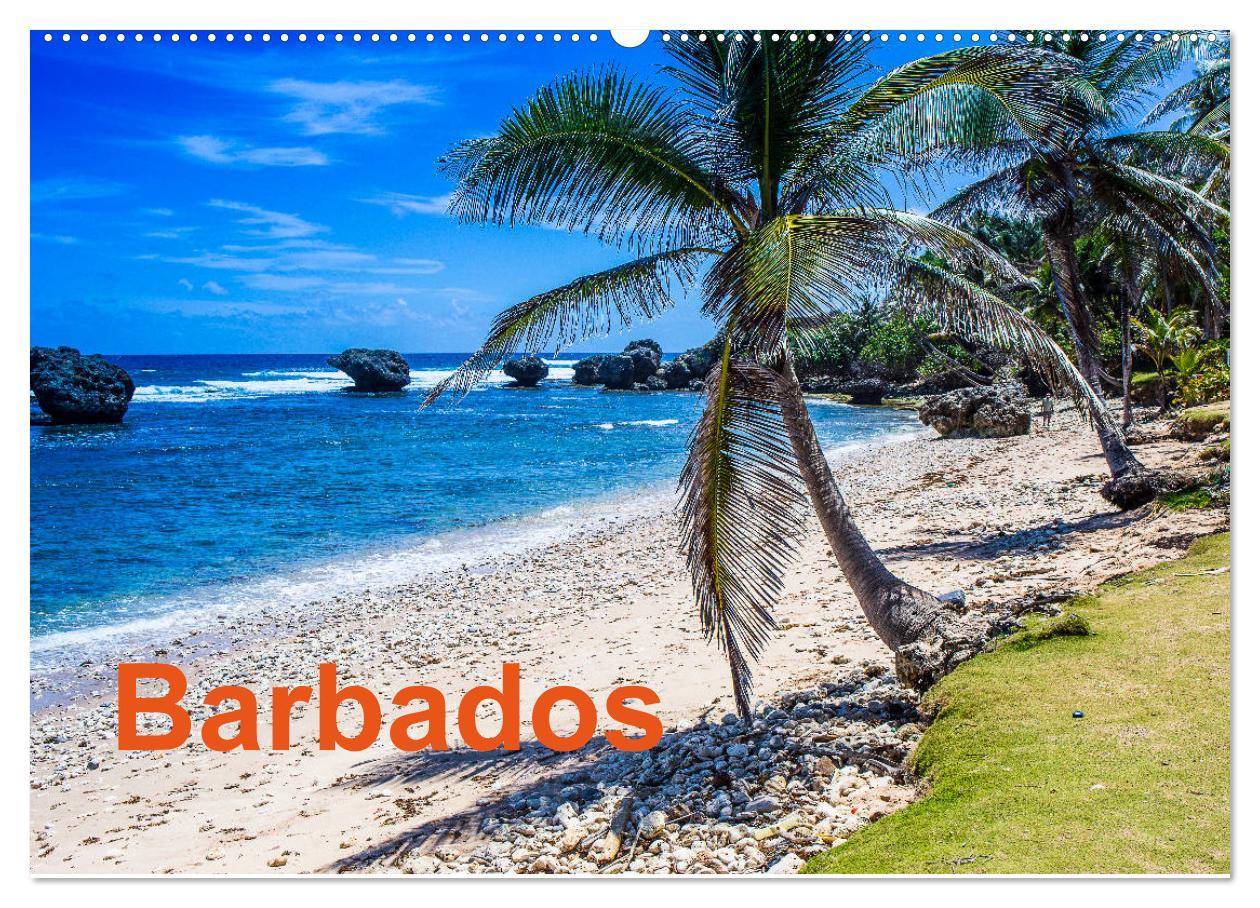 Cover: 9783435453788 | Barbados (Wandkalender 2025 DIN A2 quer), CALVENDO Monatskalender