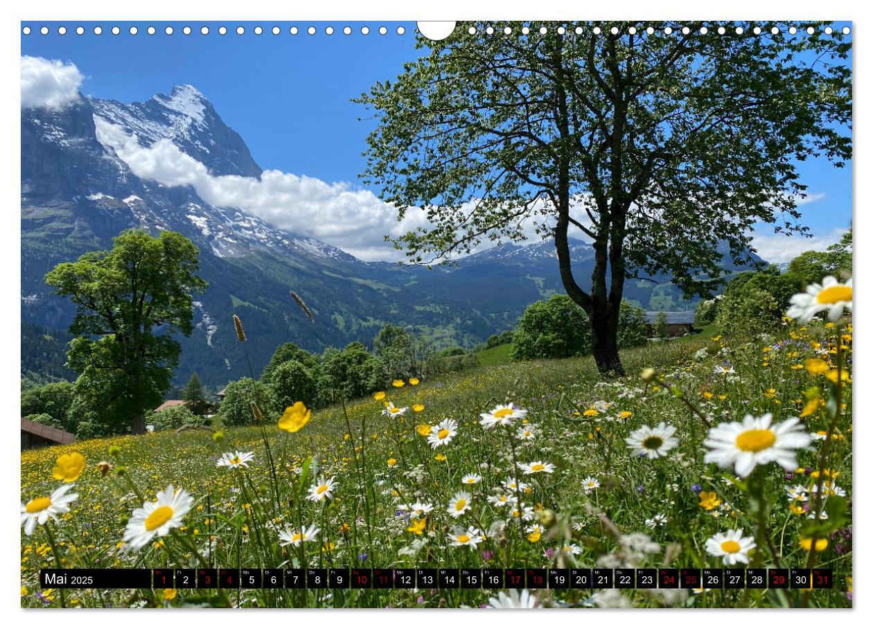 Bild: 9783383934407 | Grindelwald - Jungfrauregion Schweiz (Wandkalender 2025 DIN A3...