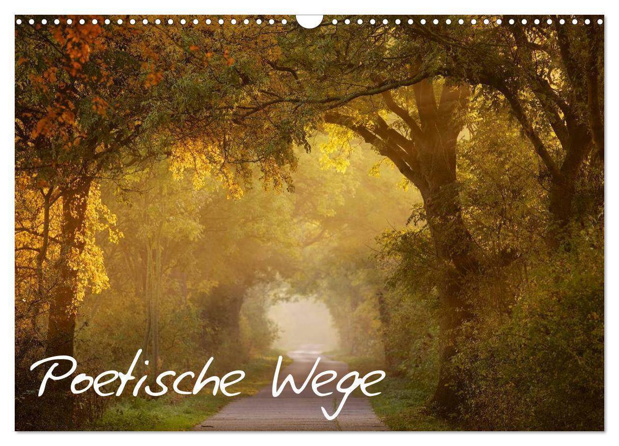 Cover: 9783383538605 | Poetische Wege (Wandkalender 2024 DIN A3 quer), CALVENDO...