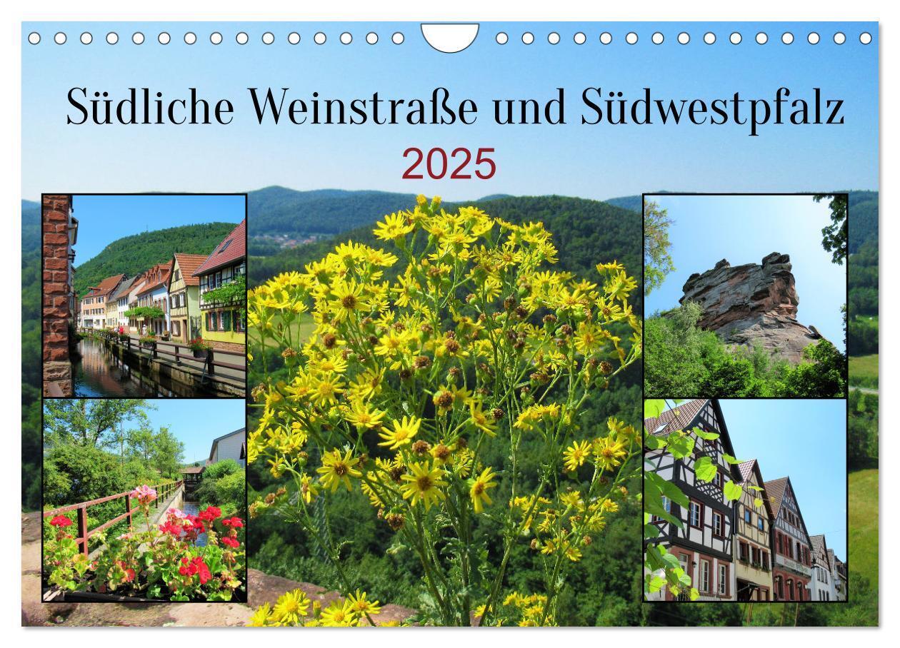 Cover: 9783435039708 | Südliche Weinstraße und Südwestpfalz (Wandkalender 2025 DIN A4...