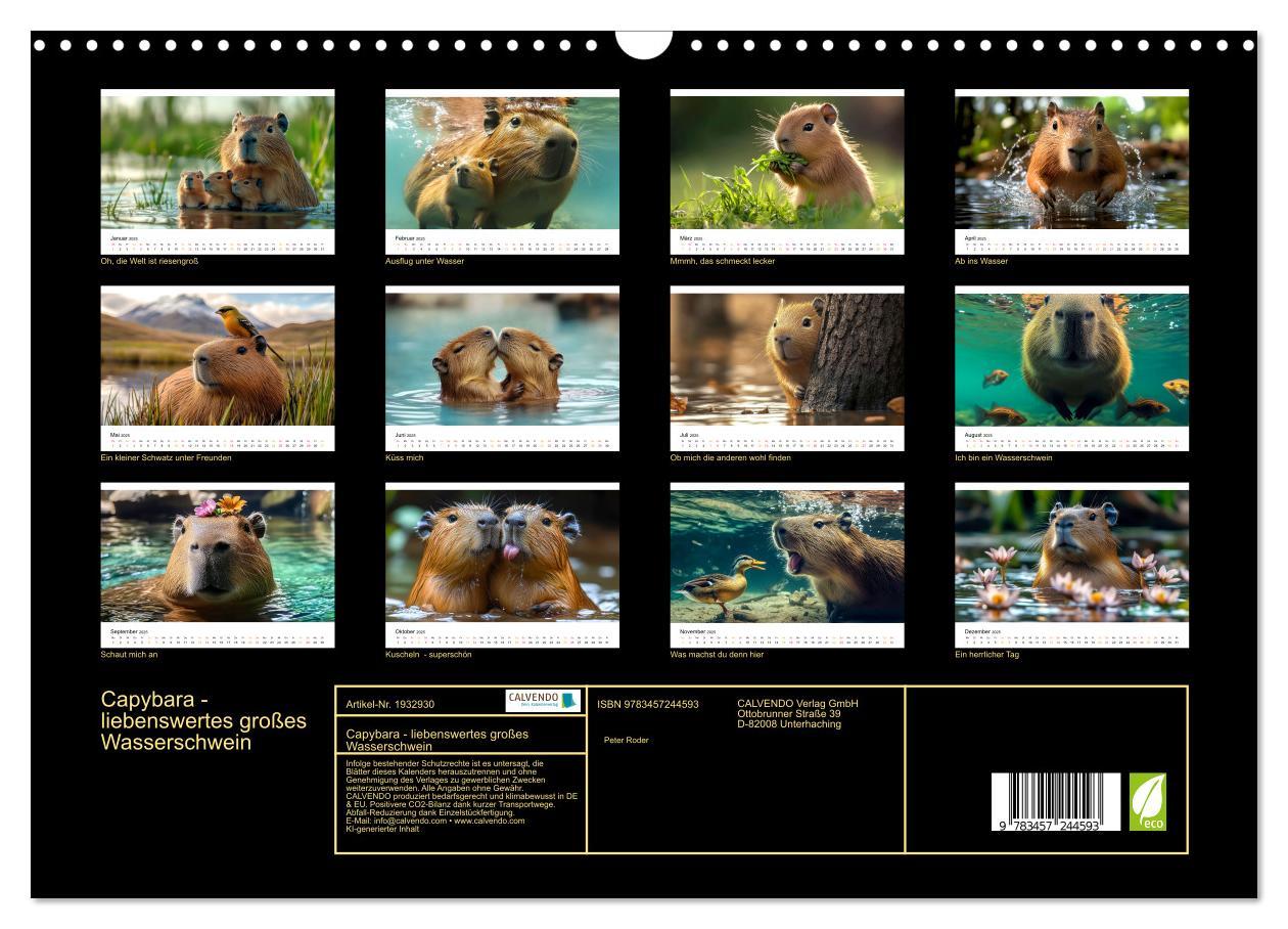 Bild: 9783457244593 | Capybara - liebenswertes großes Wasserschwein (Wandkalender 2025...