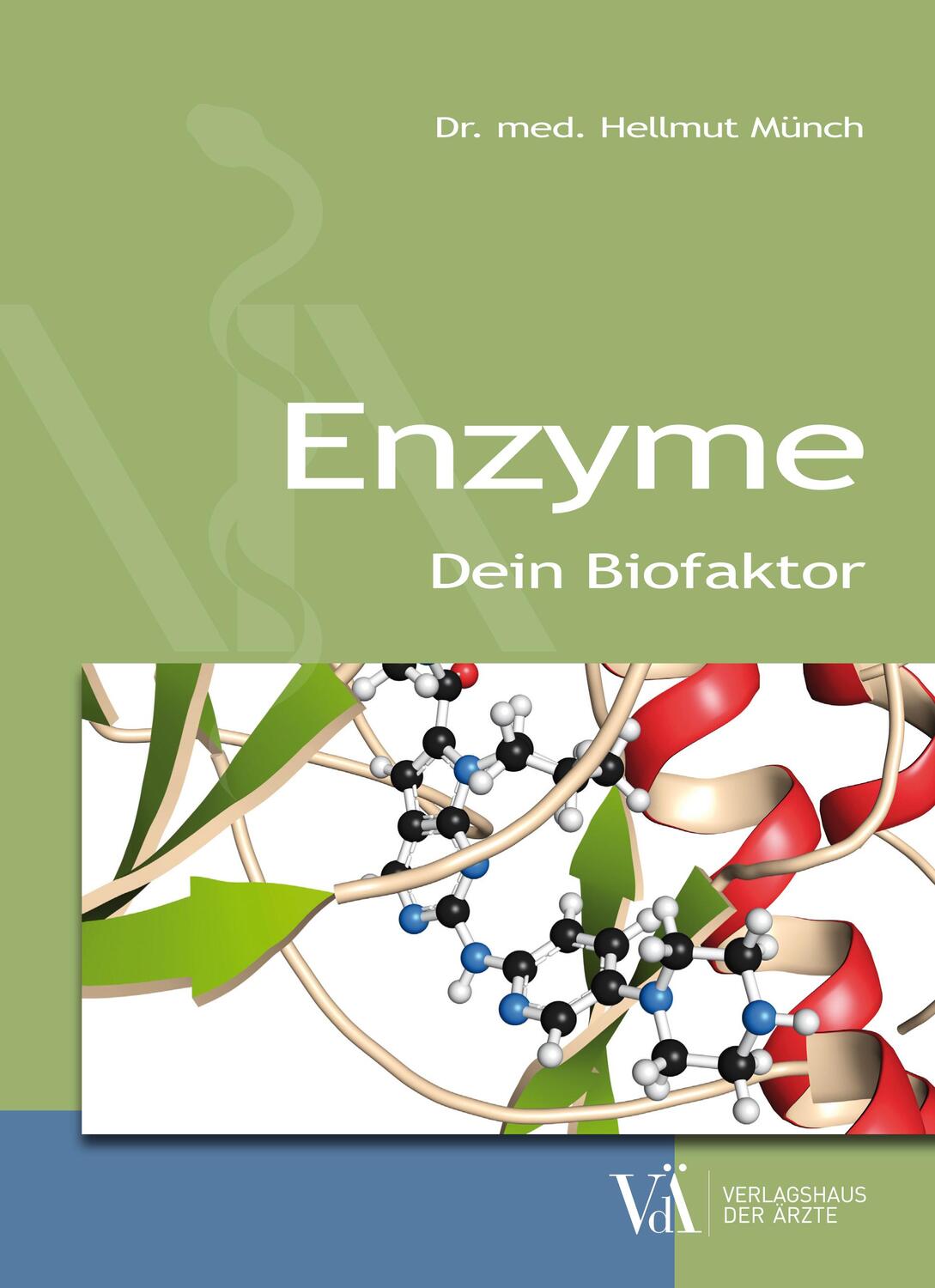 Cover: 9783990521717 | Enzyme | Basis unserer Gesundheit | Hellmut Münch | Taschenbuch | 2019