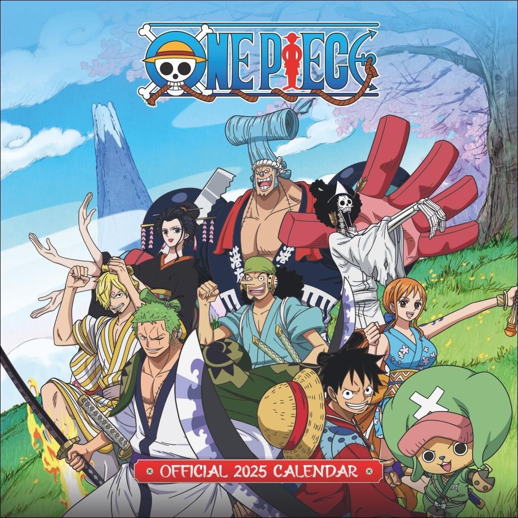 Cover: 9783840196805 | One Piece Broschurkalender 2025 | Kalender | Danilo | 28 S. | Englisch