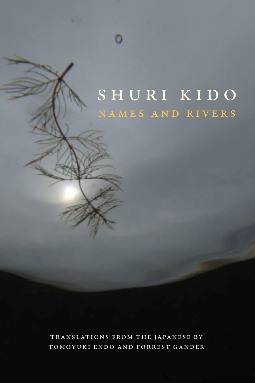 Cover: 9781556596612 | Names and Rivers | Shuri Kido | Taschenbuch | Englisch | 2022