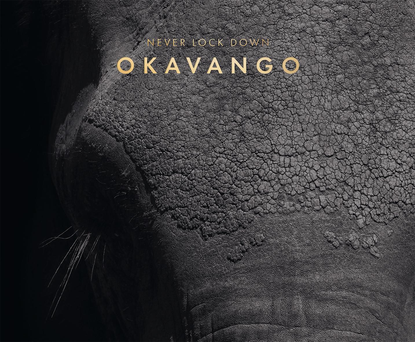 Cover: 9783205214939 | Never lock down Okavango | Buch | 337 S. | Deutsch | 2021