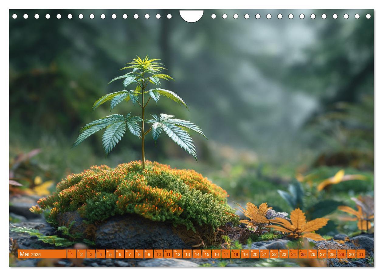 Bild: 9783383764653 | High Moments - Ein Jahr im Zeichen von Cannabis (Wandkalender 2025...