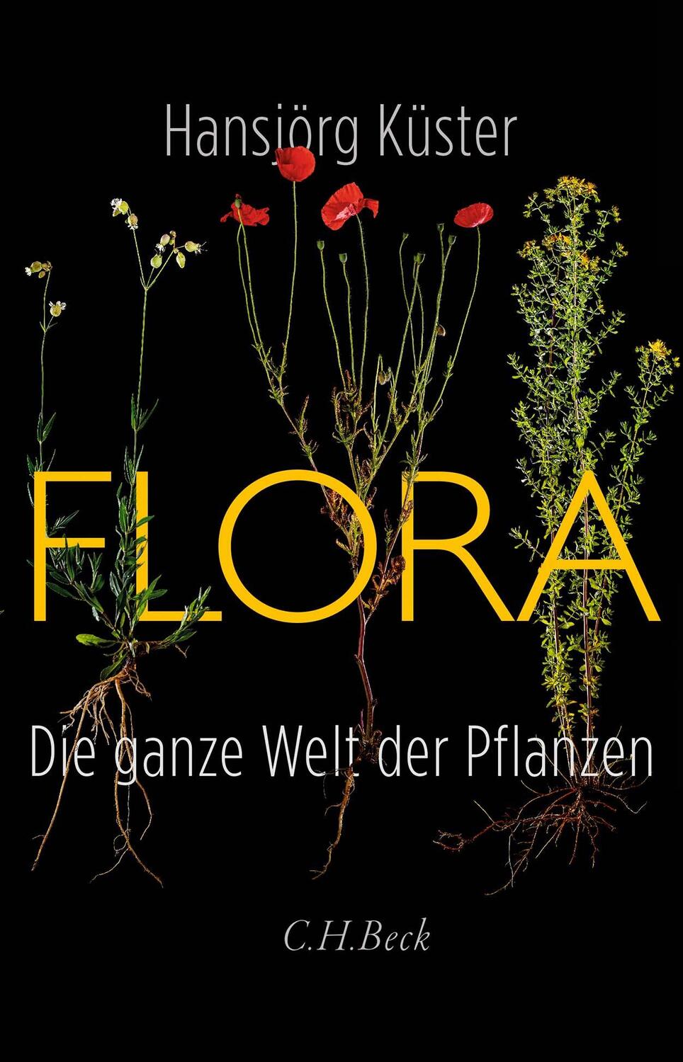 Cover: 9783406783234 | Flora | Die ganze Welt der Pflanzen | Hansjörg Küster | Buch | Deutsch