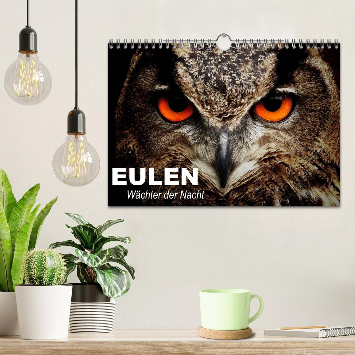 Bild: 9783435685424 | Eulen. Wächter der Nacht (Wandkalender 2025 DIN A4 quer), CALVENDO...