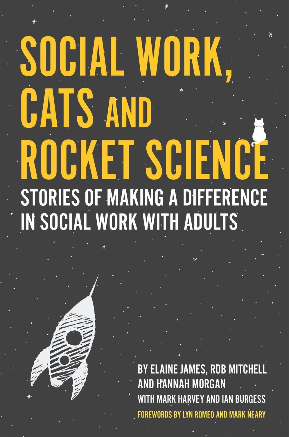 Cover: 9781785925191 | Social Work, Cats and Rocket Science | Elaine James (u. a.) | Buch