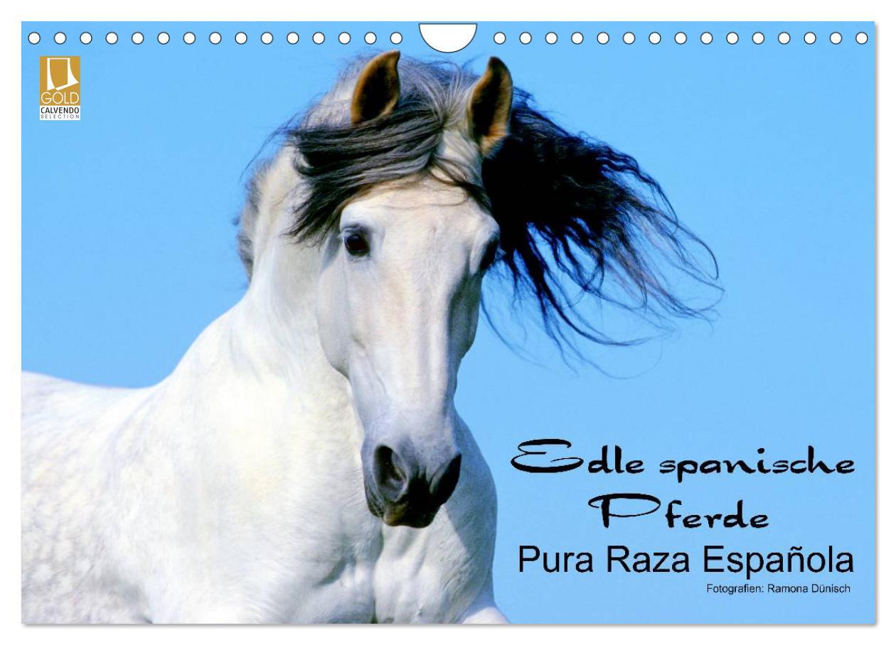 Cover: 9783435746460 | Edle spanische Pferde - Pura Raza Espanola (Wandkalender 2025 DIN...