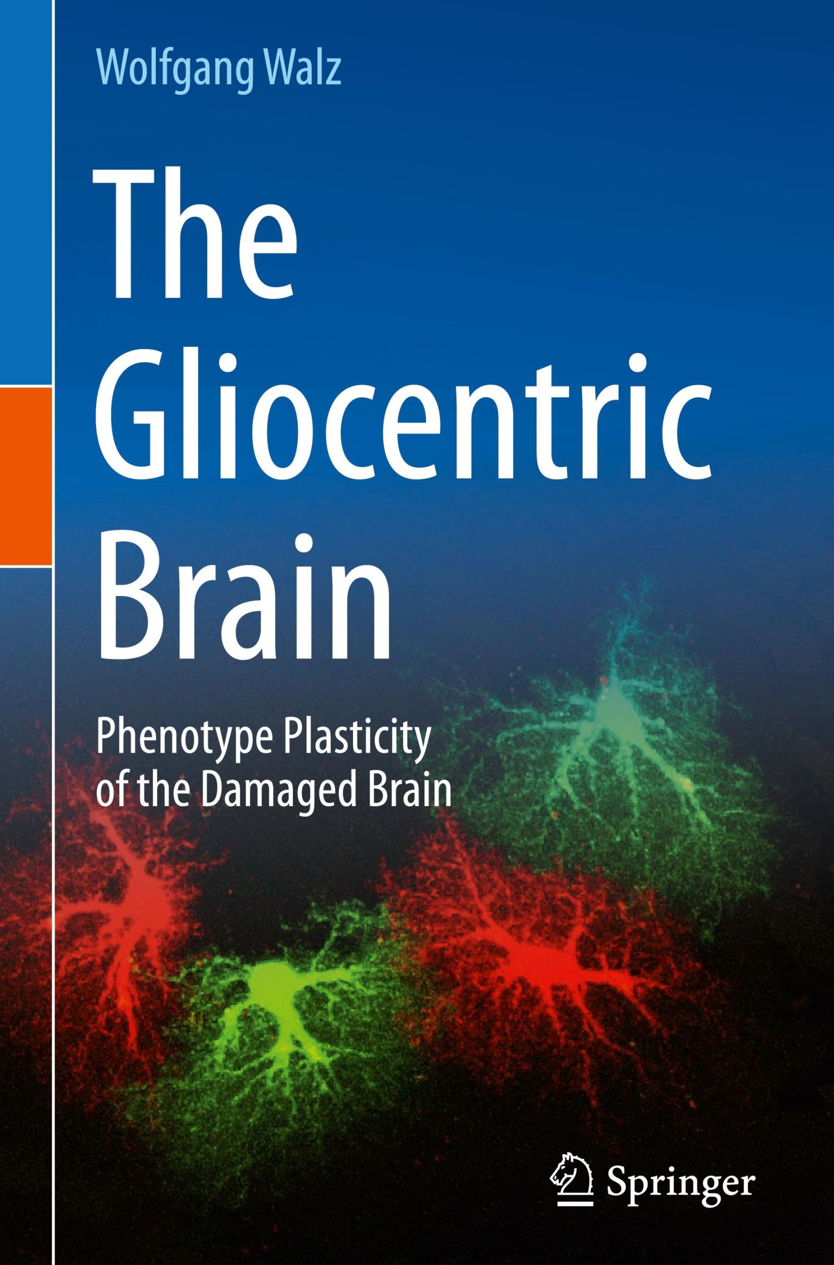 Cover: 9783031481048 | The Gliocentric Brain | Phenotype Plasticity of the Damaged Brain | ix