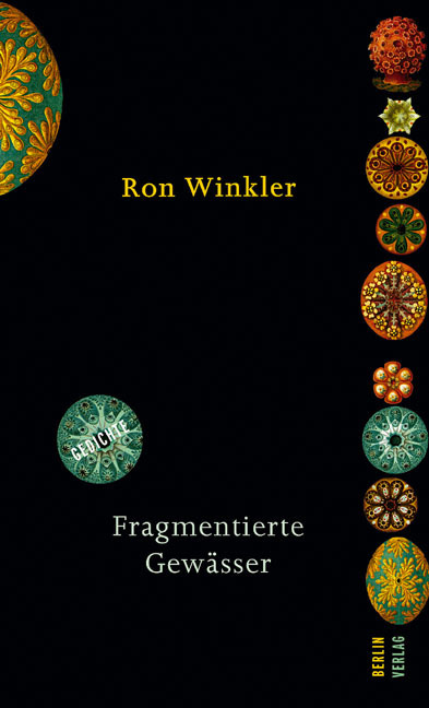Cover: 9783895612138 | Fragmentierte Gewässer | Gedichte | Ron Winkler | Buch | 2007