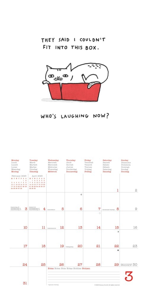 Bild: 4002725987891 | N NEUMANNVERLAGE - A Cat's Life 2025 Broschürenkalender, 30x30cm,...