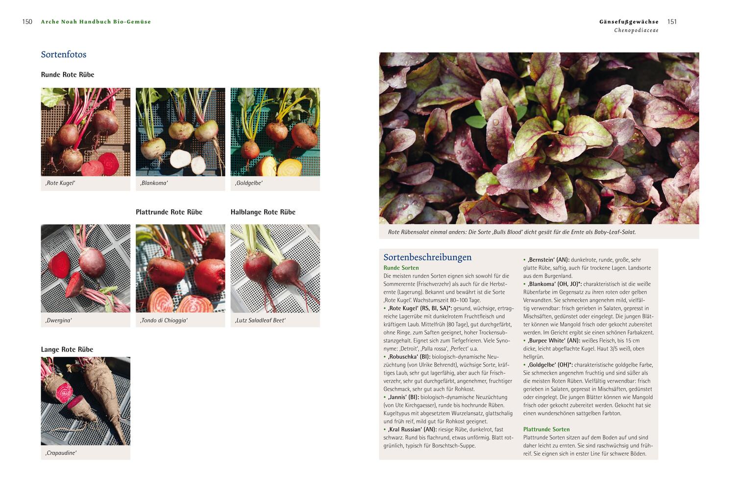 Bild: 9783706624596 | Handbuch Bio-Gemüse | Sortenvielfalt für den eigenen Garten | Buch