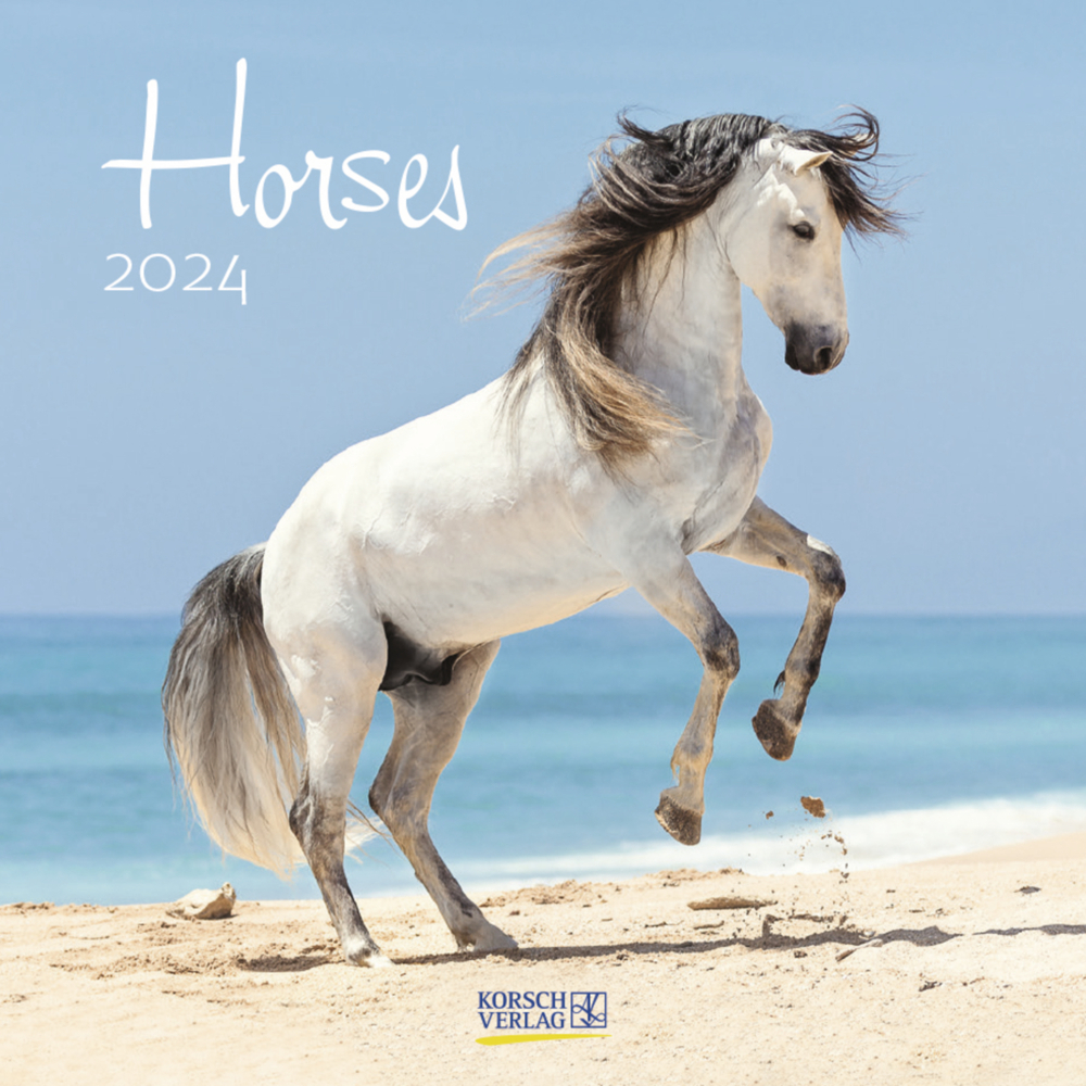 Cover: 9783731869177 | Horses 2024 | Korsch Verlag | Kalender | Englisch Broschur | 13 S.
