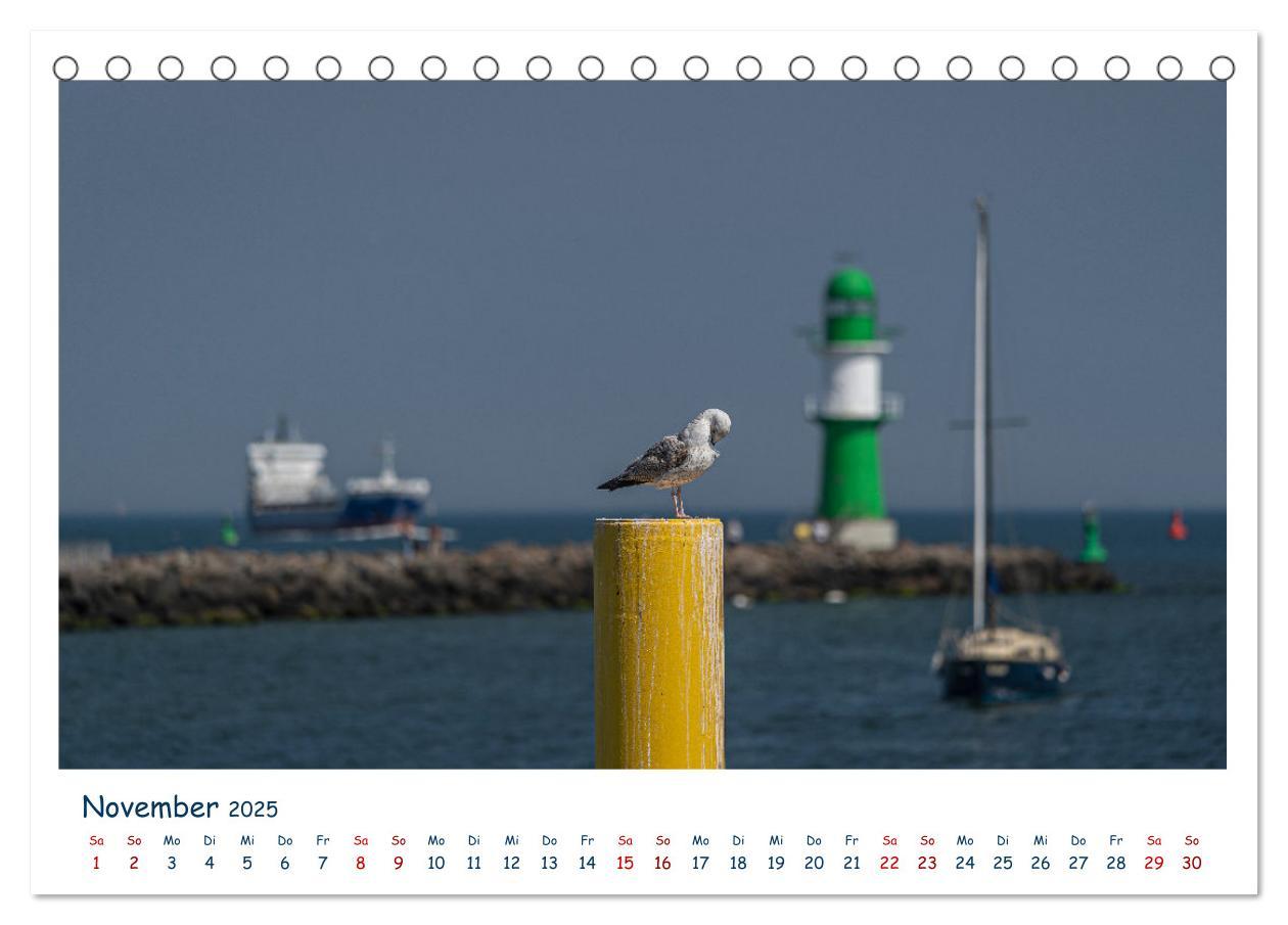 Bild: 9783383896149 | Warnemünde an der Ostsee (Tischkalender 2025 DIN A5 quer), CALVENDO...