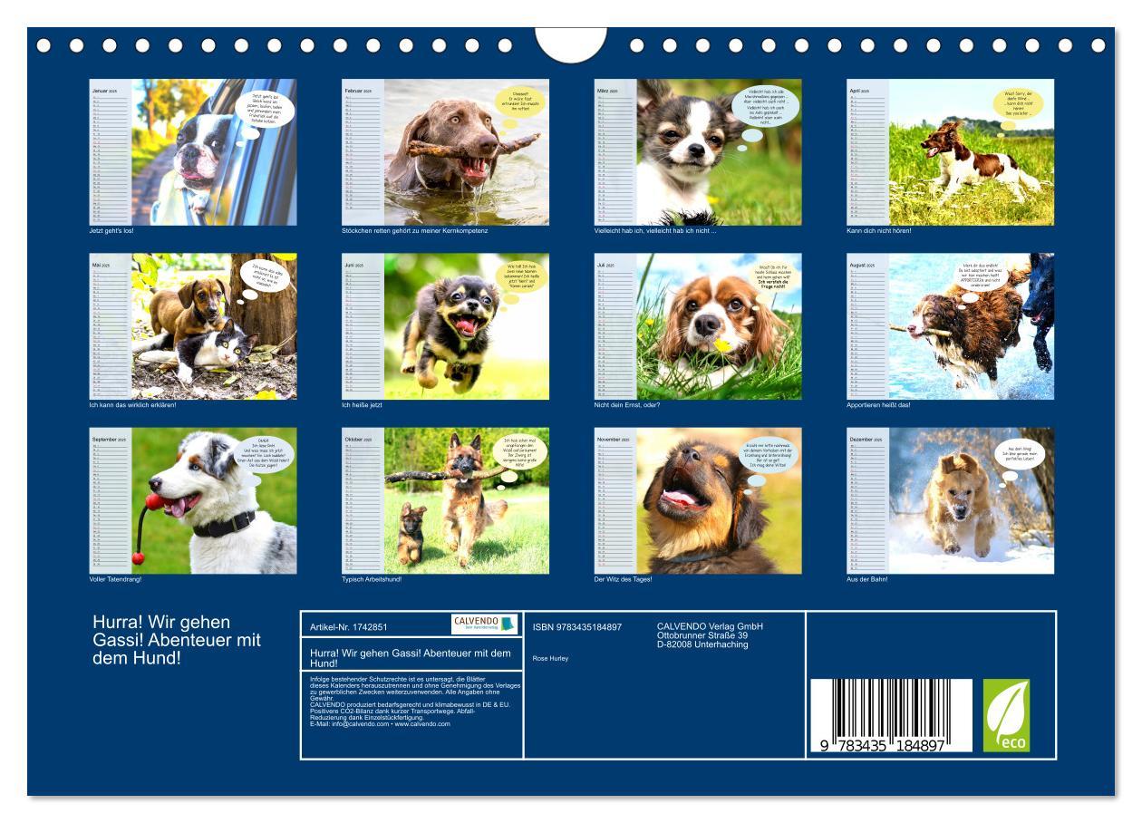 Bild: 9783435184897 | Hurra! Wir gehen Gassi! Abenteuer mit dem Hund! (Wandkalender 2025...