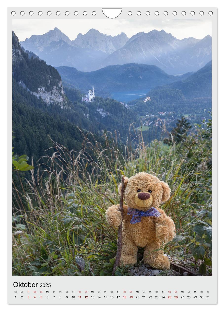 Bild: 9783435985371 | Travelling Teddy in Europa (Wandkalender 2025 DIN A4 hoch),...