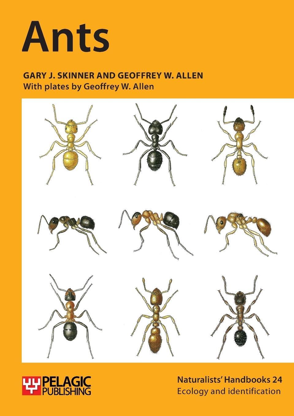 Cover: 9781907807602 | Ants | Gary J Skinner (u. a.) | Taschenbuch | Paperback | Englisch