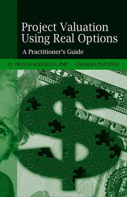 Cover: 9781932159431 | Project Valuation Using Real Options: A Practitioner's Guide | Buch