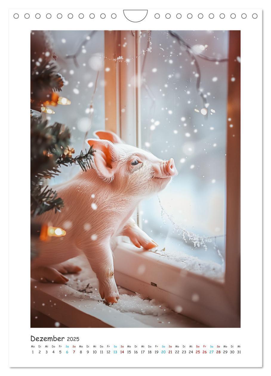 Bild: 9783457160459 | Schwein gehabt (Wandkalender 2025 DIN A4 hoch), CALVENDO...