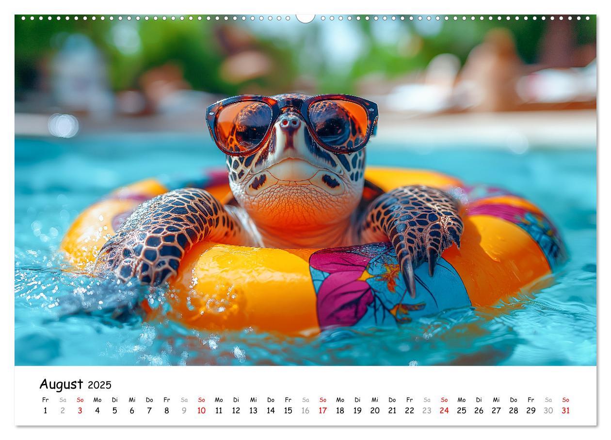 Bild: 9783457215852 | CHILL MAL - Entspannte Schildkröten beim Faulenzen (Wandkalender...