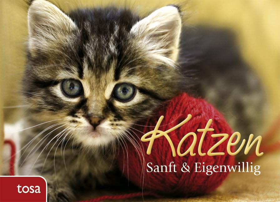 Cover: 9783863132521 | Katzen | Sanft &amp; eigenwillig | Buch | 288 S. | Deutsch | 2011